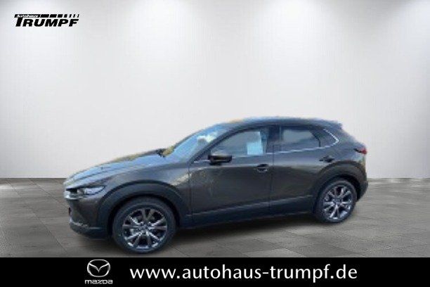 Mazda CX-30 186PS AWD 6AG SELECTION DESIGN-u.PREMIUM-P