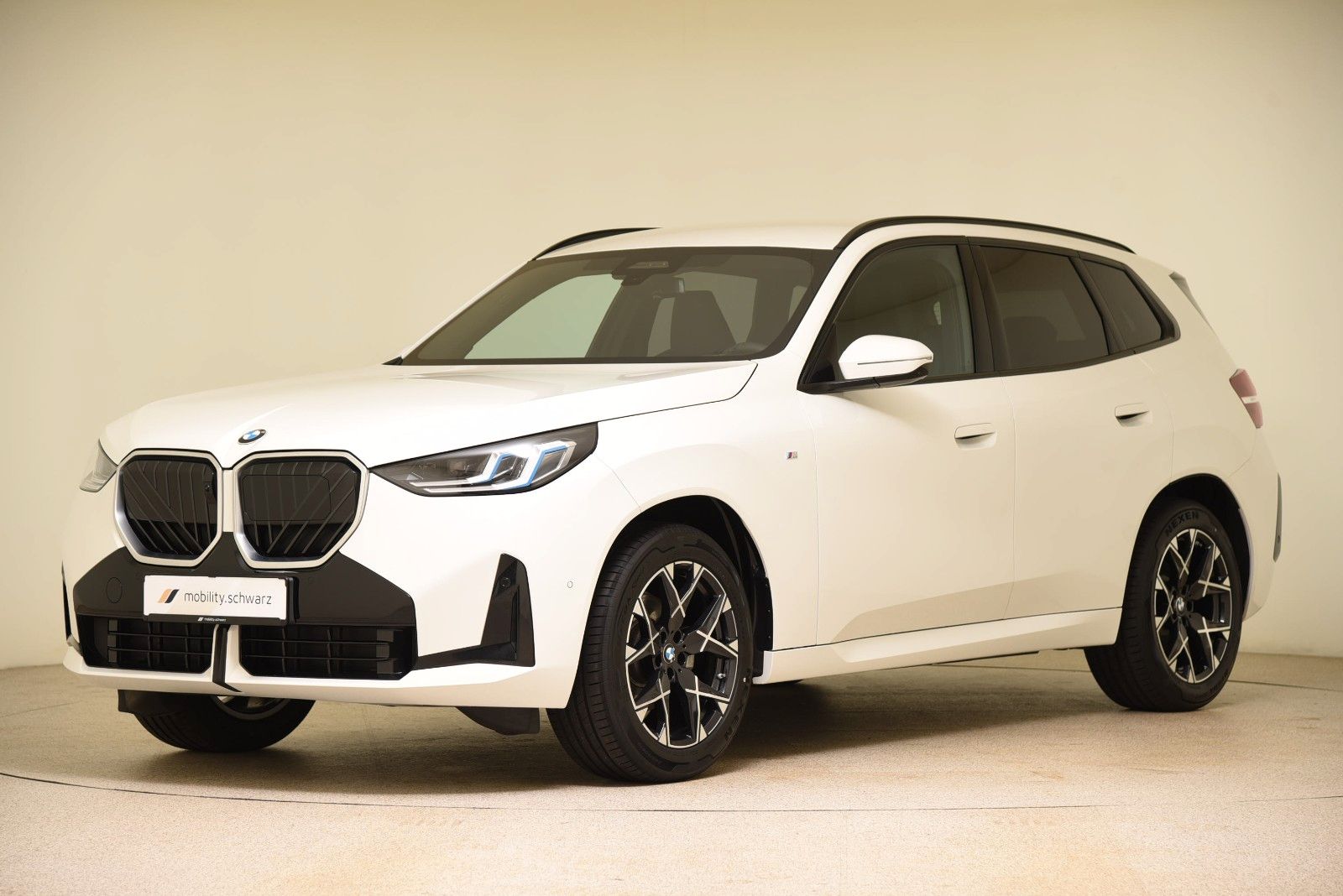 BMW X3 20d xDrive M Sport DriveAssProf 360° AHK LED