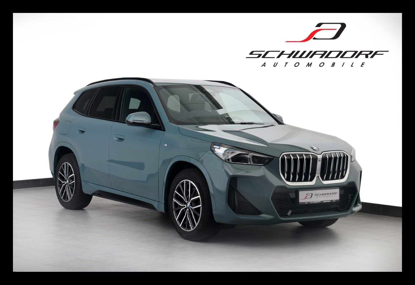 BMW X1 xDrive23d M Sport PANO ACC RFK AHK 18" 8-fach