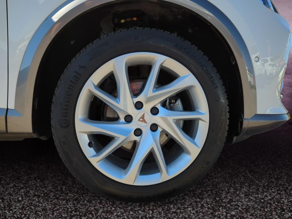 Cupra Formentor 2.0 TDI DSG 4DRIVE - Samsaru's Car Outlet