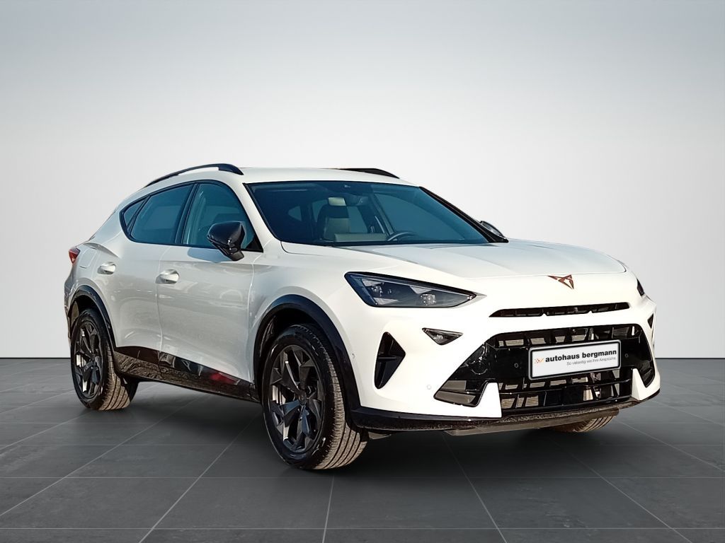 Cupra Formentor 2.0 TSI 4Drive DSG*AHK*Matrix*AHZ*Navi