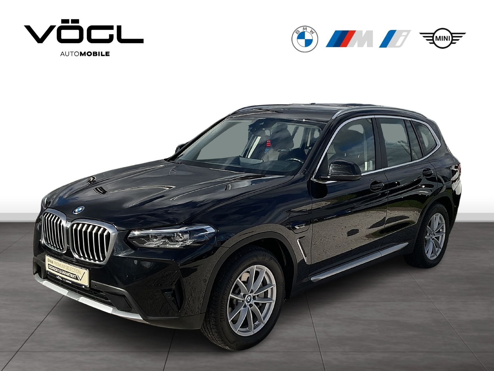 BMW X3 xDrive30e Panoramadach AHK HiFi