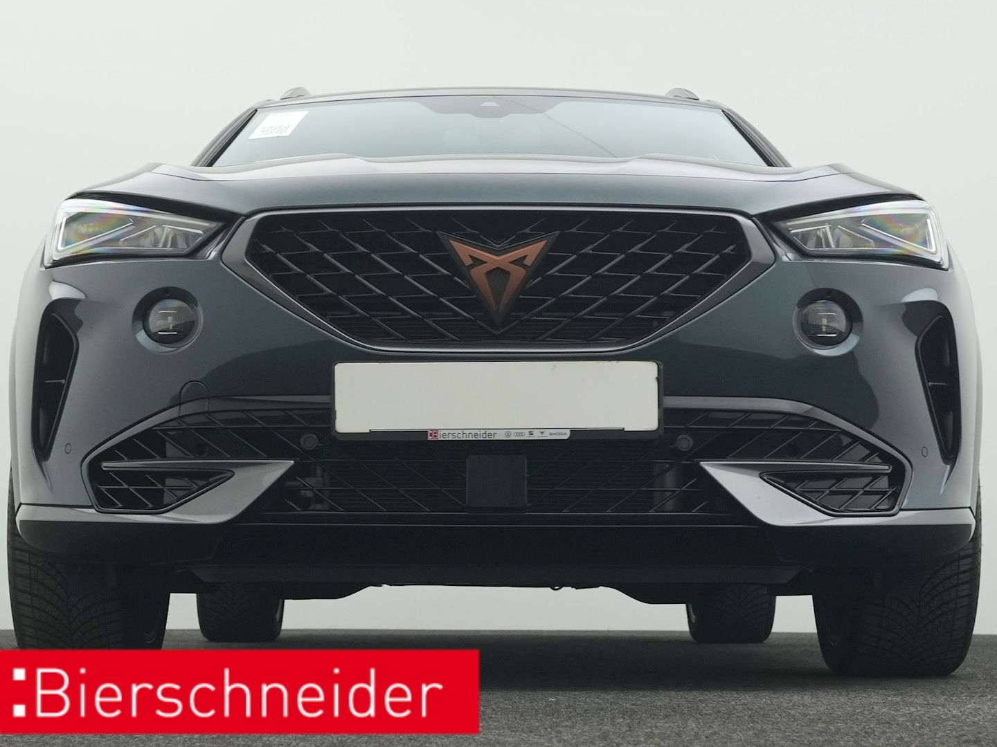 Cupra Formentor 2.0 TSI DSG 4Dr. VZ AHK NAVI KAMERA AC
