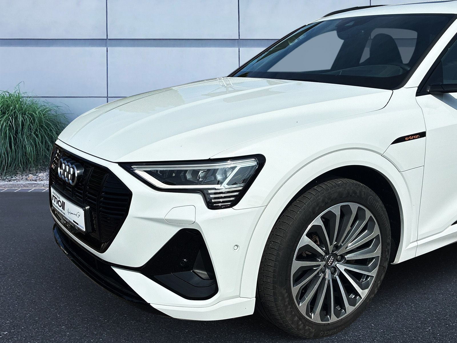 Audi e-tron 50 S-line quattro 230 kW
