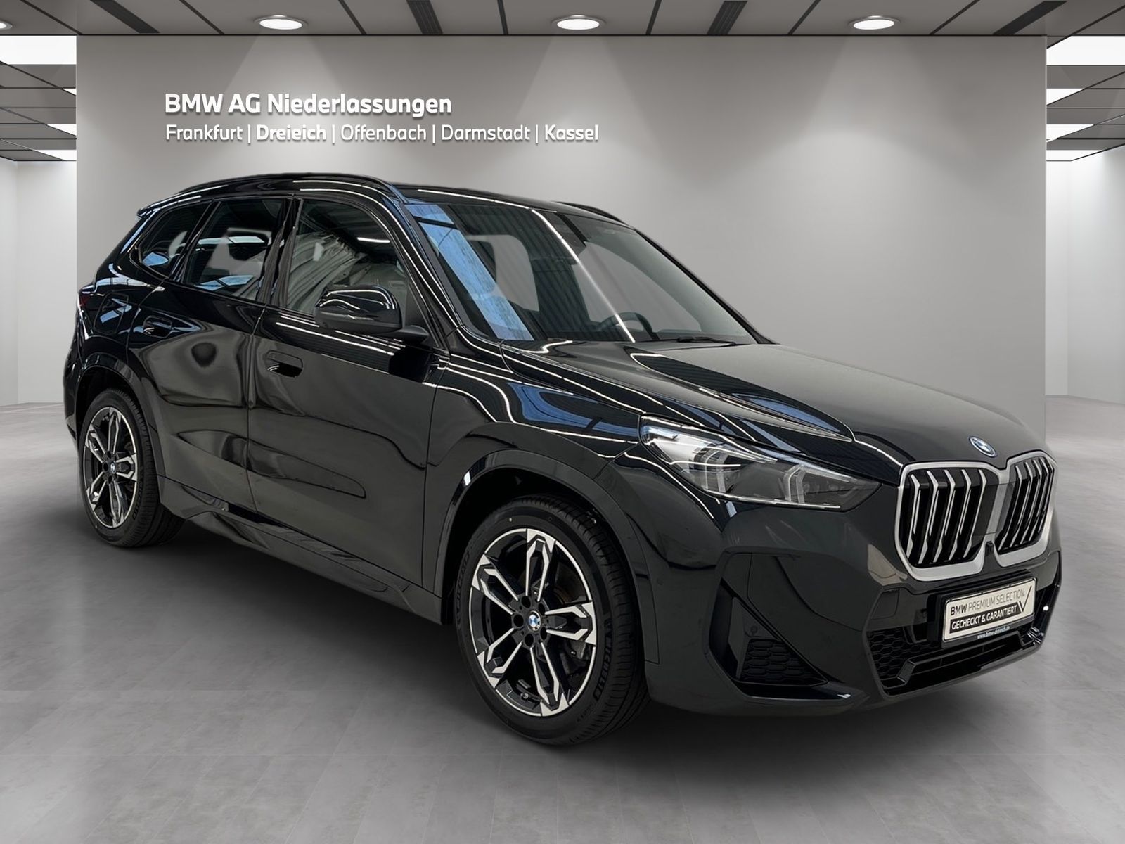 BMW X1 xDrive30e M Sport AHK Driv.Assist.Prof LED