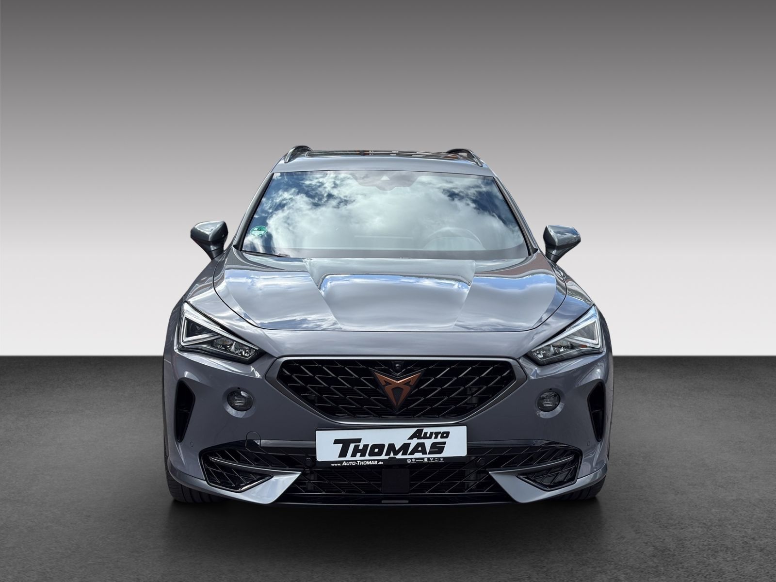 Cupra Formentor VZ 2.0 TSI DSG AHK+PANO+BEATS