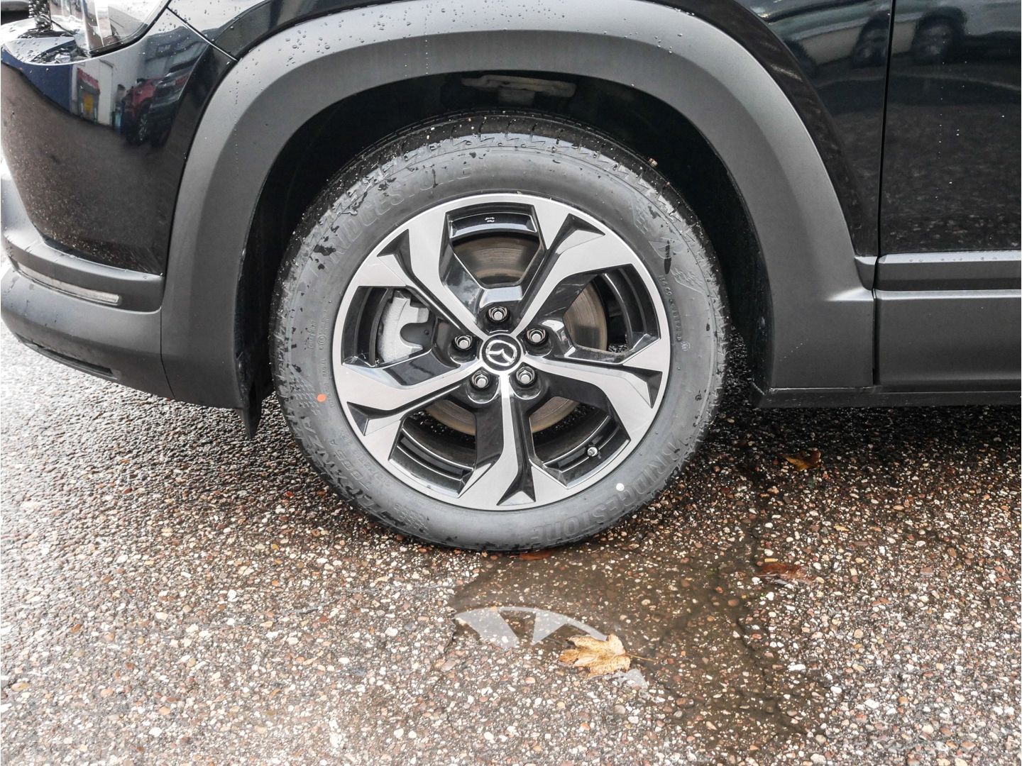 Mazda MX-30 e-SKYACTIV R-EV MAKOTO PREMIUM-Paket SCHIE