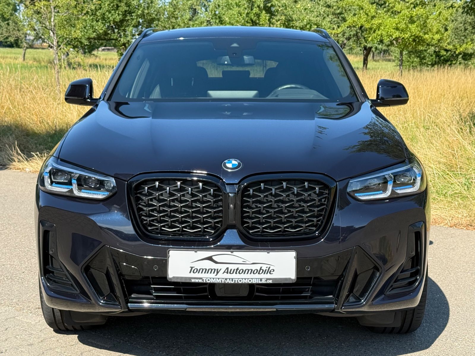 BMW X4 xDrive 30 d M Sport Laser HeadUp Pano AHK 21"
