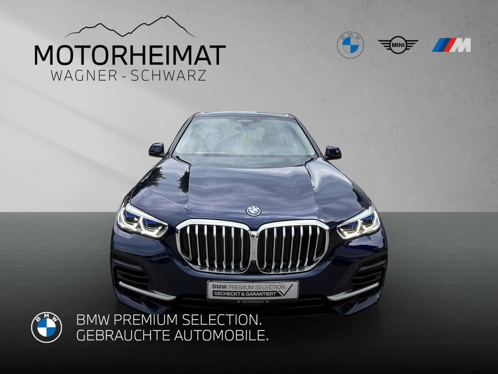 BMW X5 xDrive45e Individual ACC HUD 360° Laser