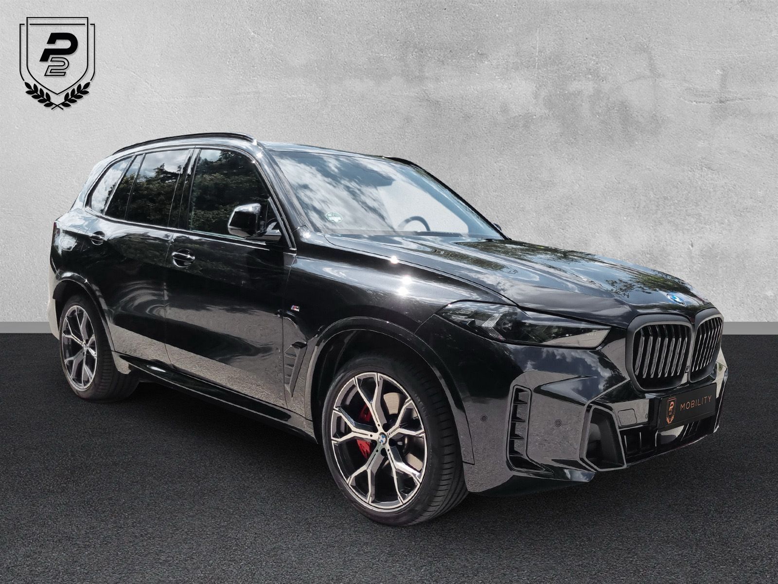 BMW X5 40ixDrive M Sport/LUFTFEDERUNG/SKY/CARBON/HK
