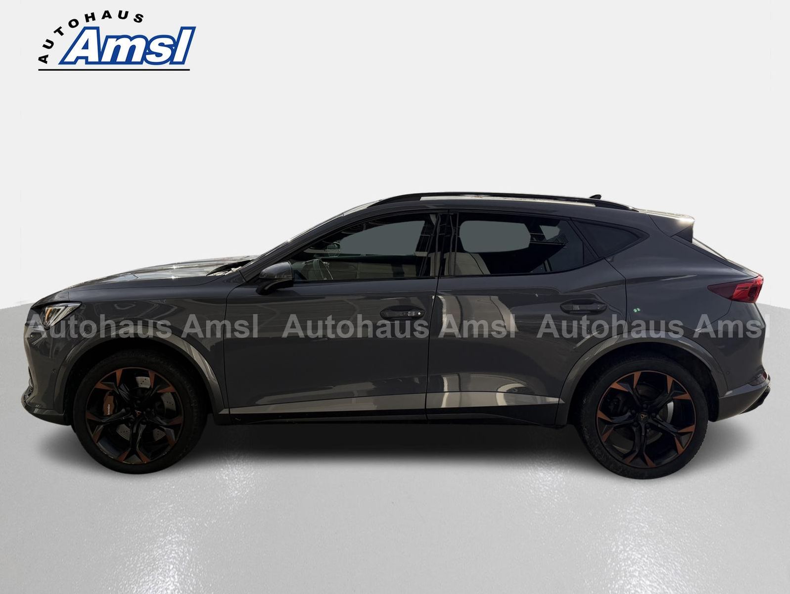 Cupra Formentor 2.0 TSI DSG VZ 4Drive AHK