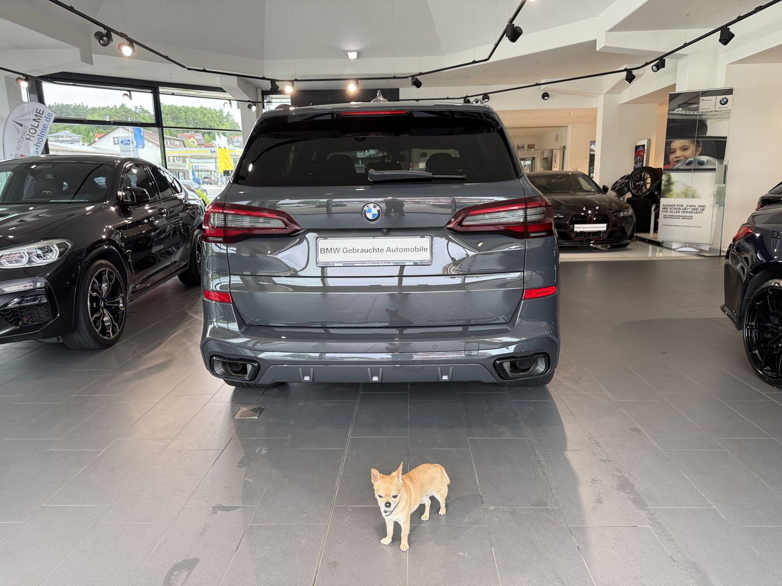 BMW X5 xDrive30d M Sport M Sportpaket Head-Up HiFi