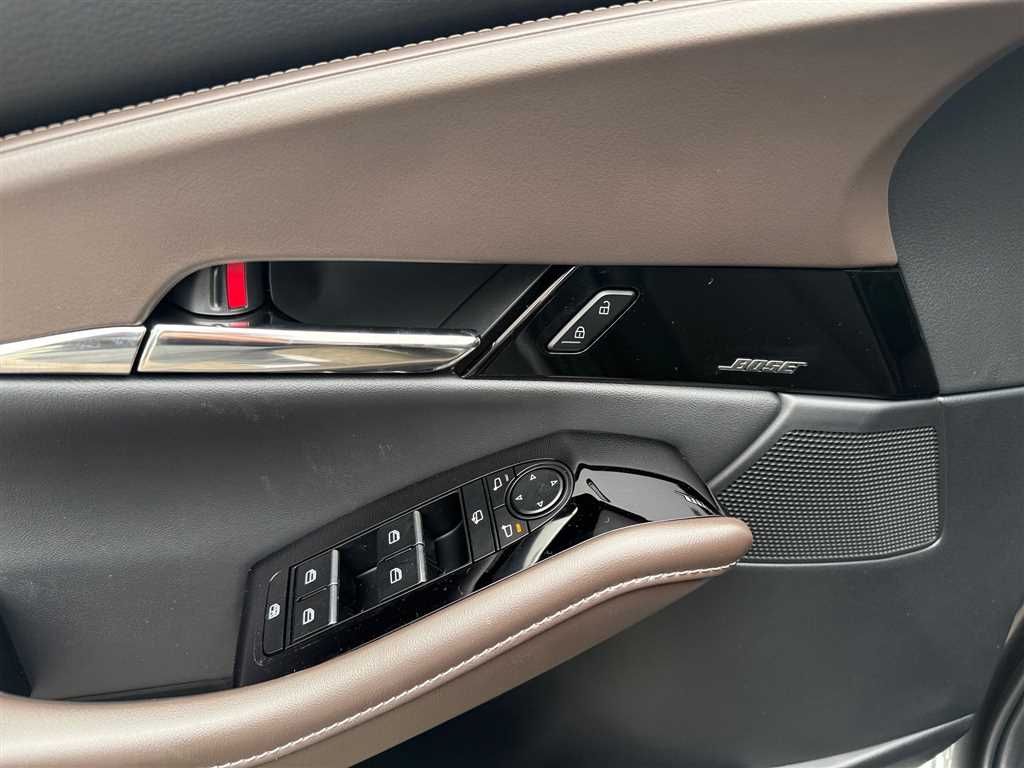 Mazda CX-30 2.5 Takumi *Navi*BOSE*360°Kamera*LED-Schei