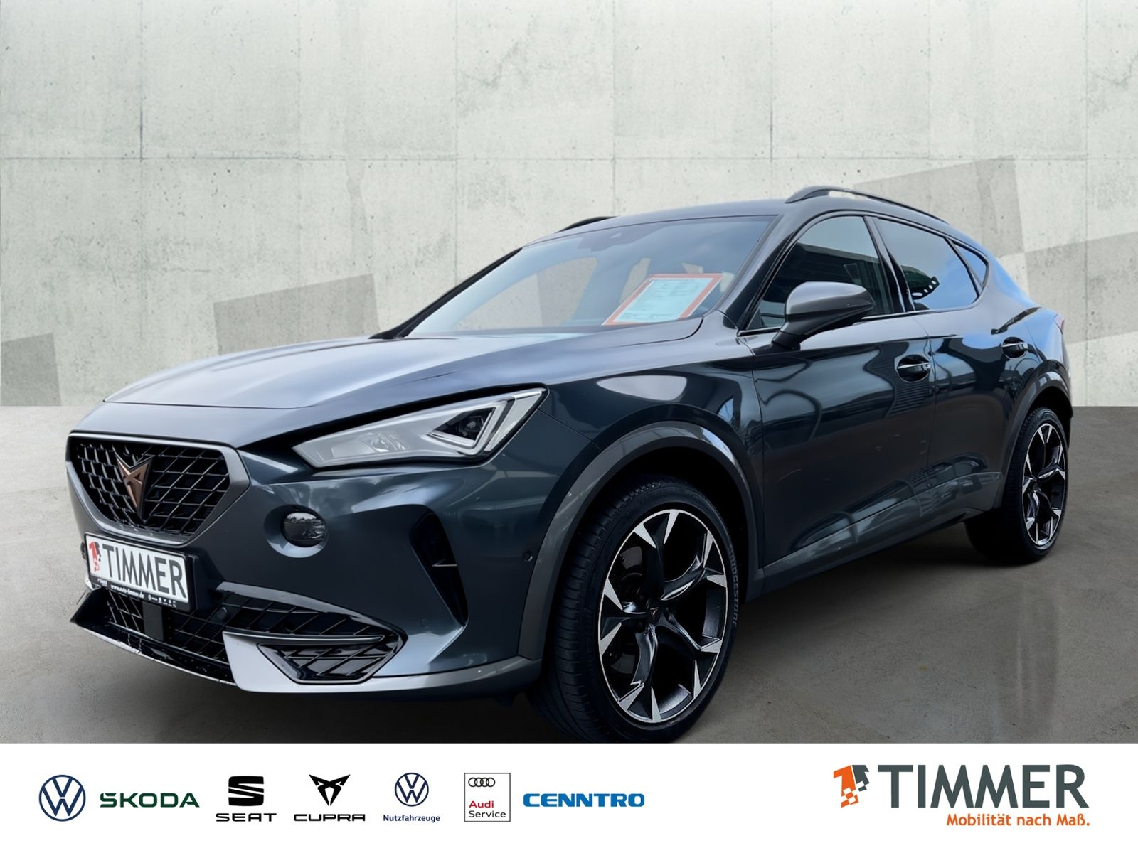 Cupra Formentor 2.0 DSG VZ 4Dr*AHK *SCHALE *BEATS *RKA