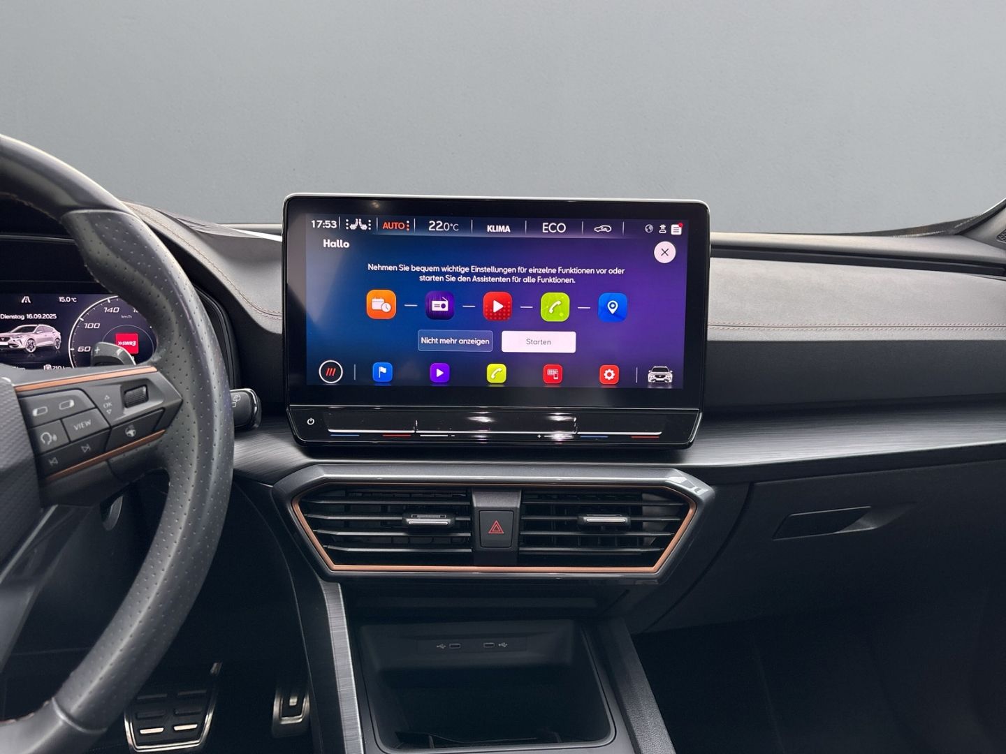 Cupra Formentor VZ e-HYBRID *AHK PANODACH +NAVI+LED*