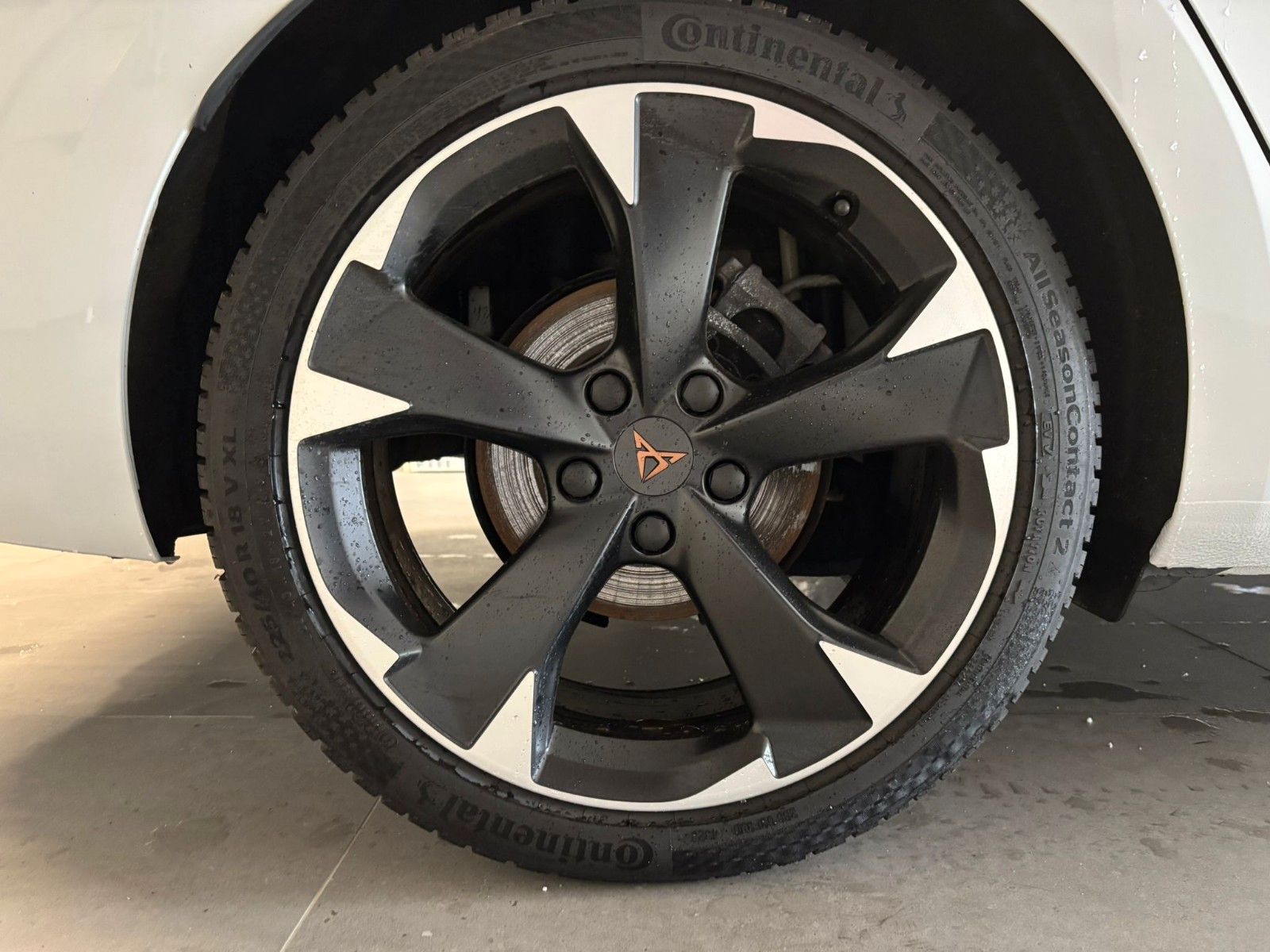 Cupra Leon Sportstourer Basis - Samsaru's Car Outlet