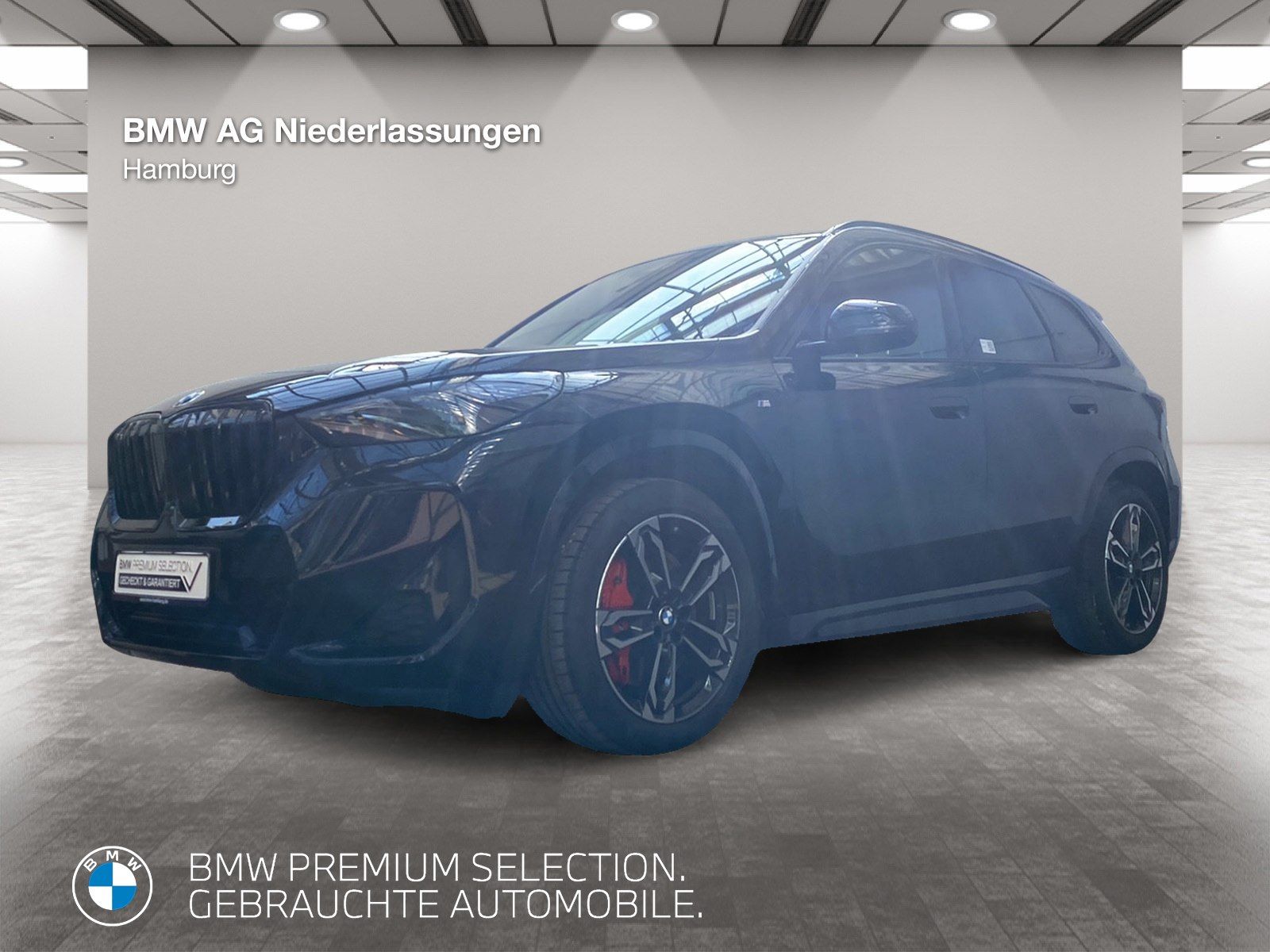 BMW X1 xDrive20d M Sport Leder AHK Driv.Assist+ Harm