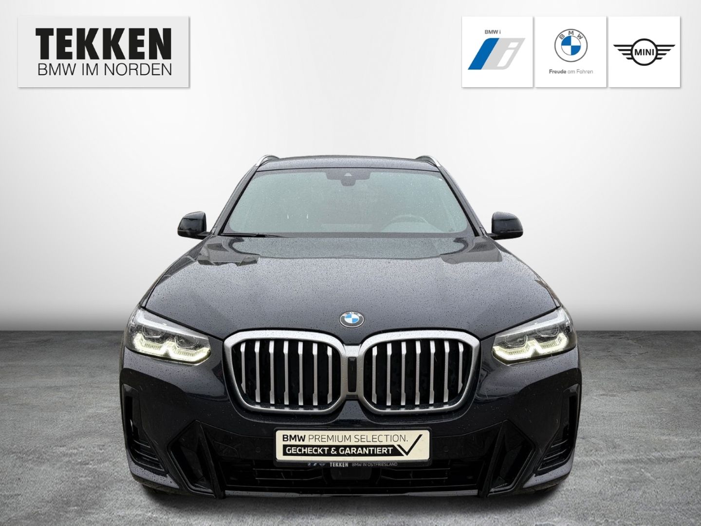 BMW X3 xDrive20d M-Sport AHK ACC Live Cockpit Prof.