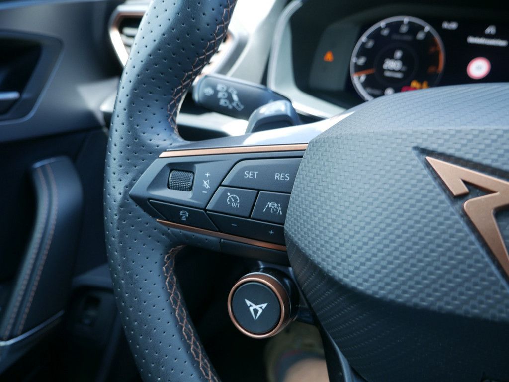 Cupra Formentor 2.0 TSI VZ 4Drive BEATS MATT PANO AHK