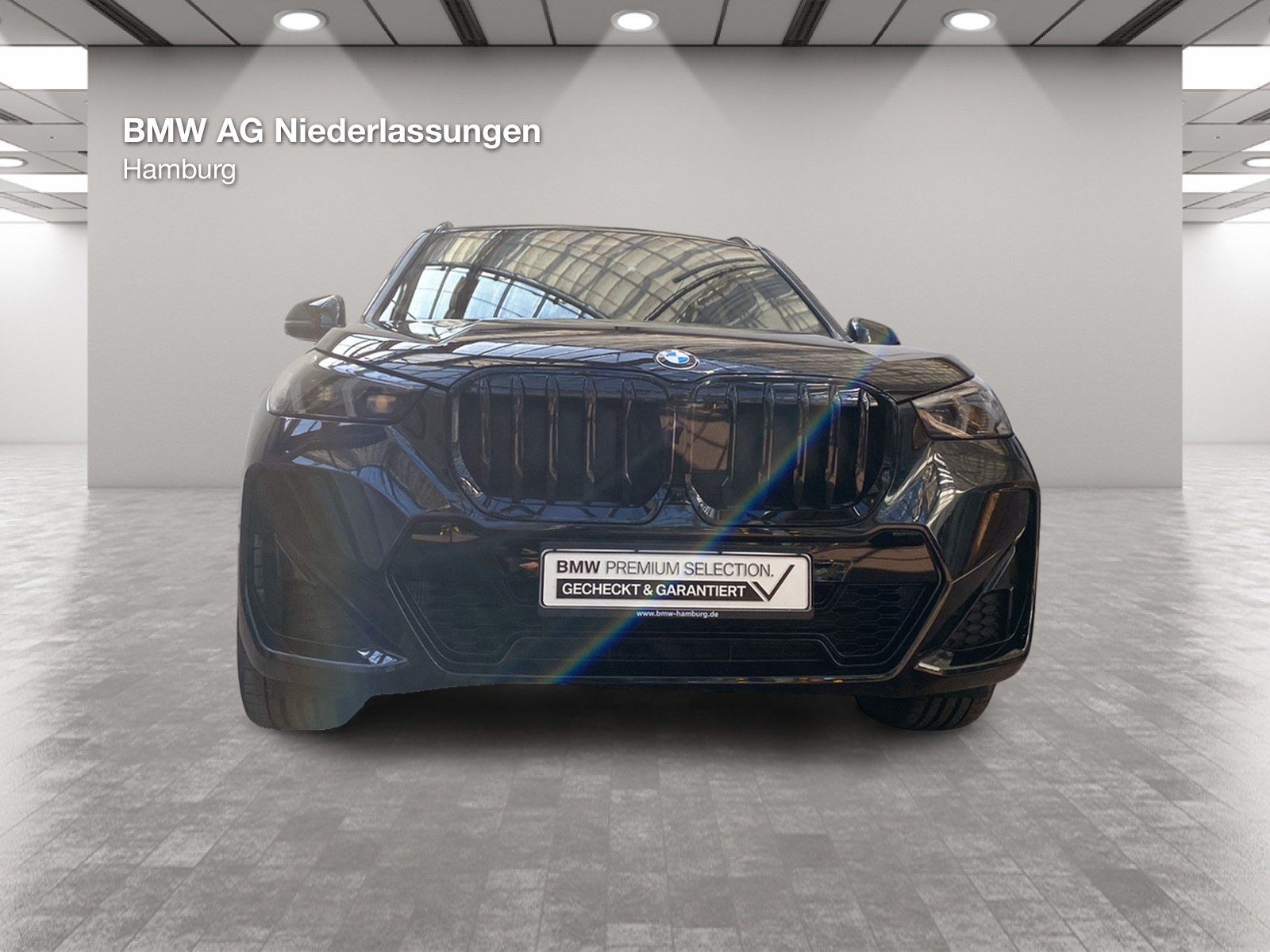 BMW X1 xDrive20d M Sport Leder AHK Driv.Assist+ Harm