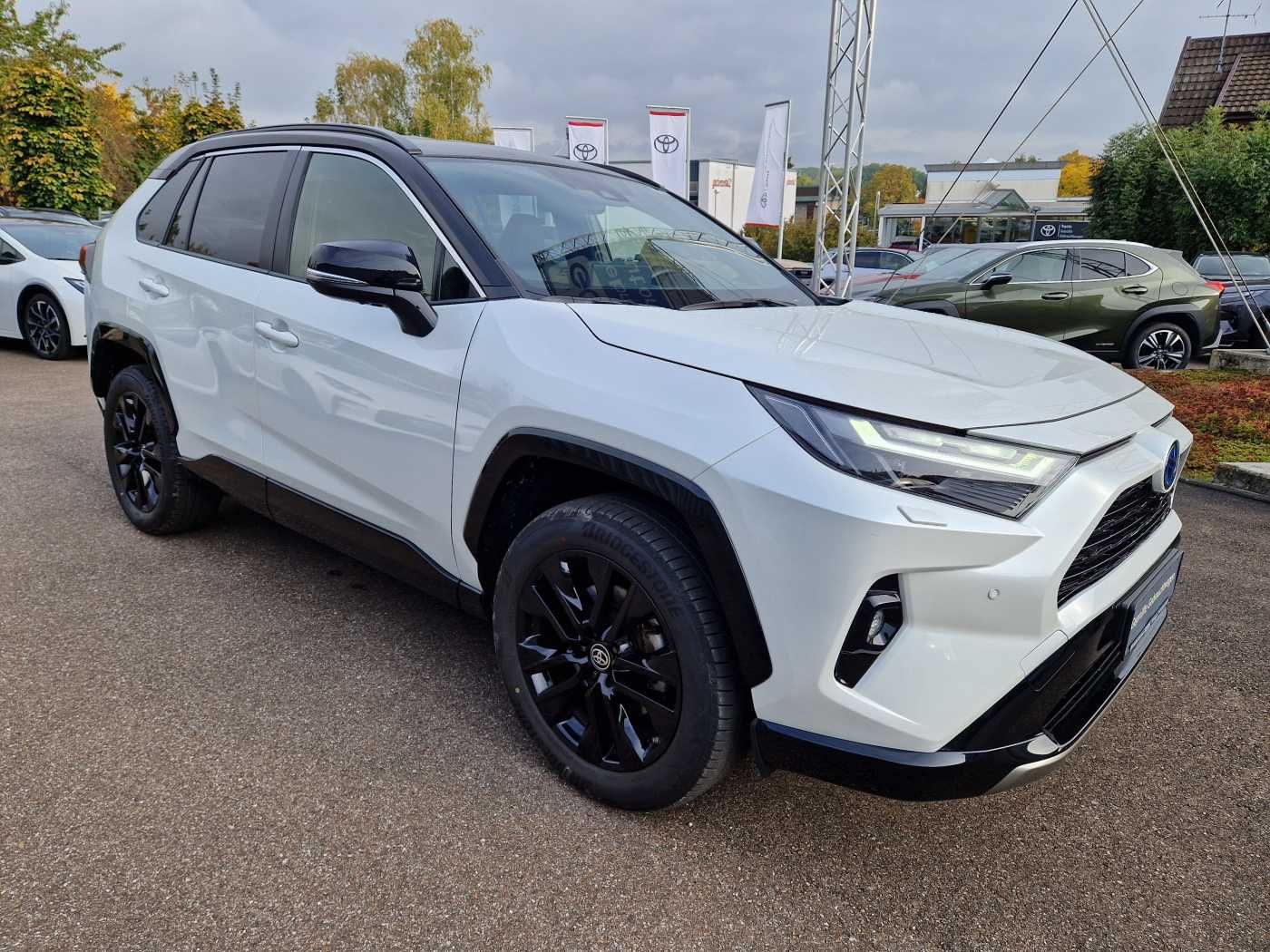 Toyota RAV4 Hybrid 2.5 4x4 Style Selection