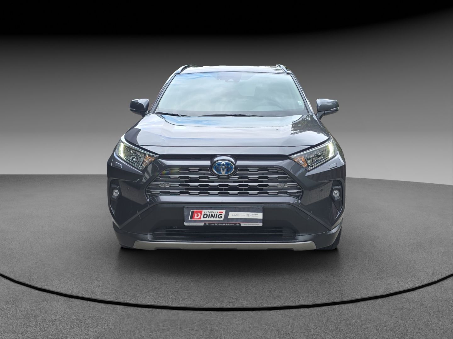 Toyota RAV 4 Hybrid 4x2 Team Deutschland Technik P. Nav