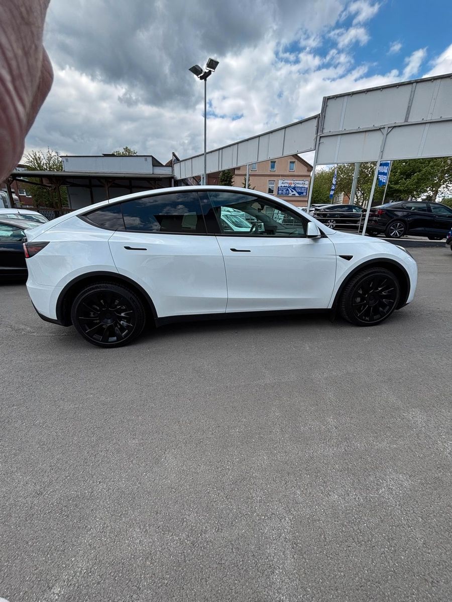 Tesla Model Y Long Range Dual AWD # +AHK # incl. MWST.