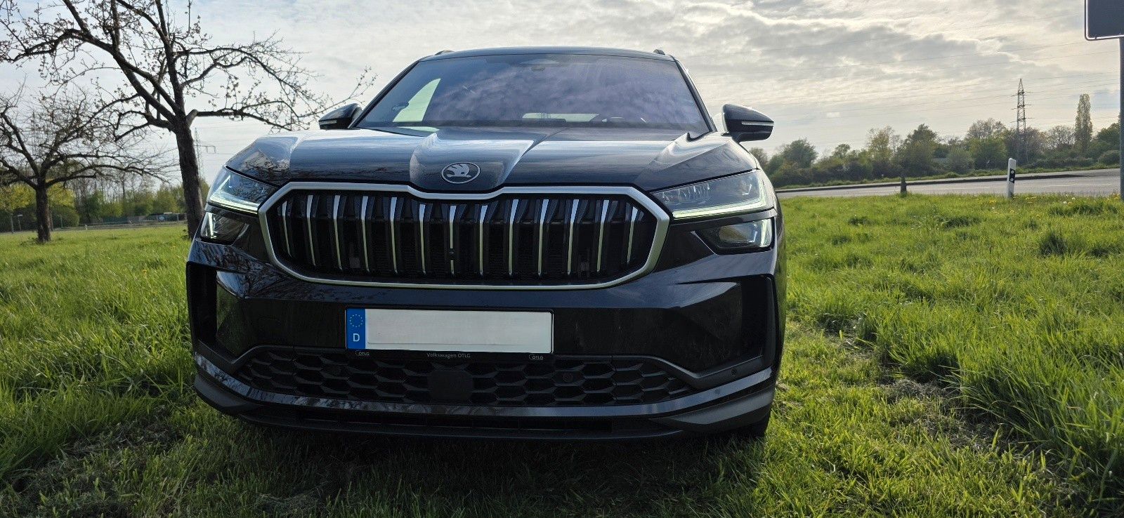 Skoda Kodiaq 2.0 TDI 142 kW 4x4 Selection *St-Hzg.*AHK