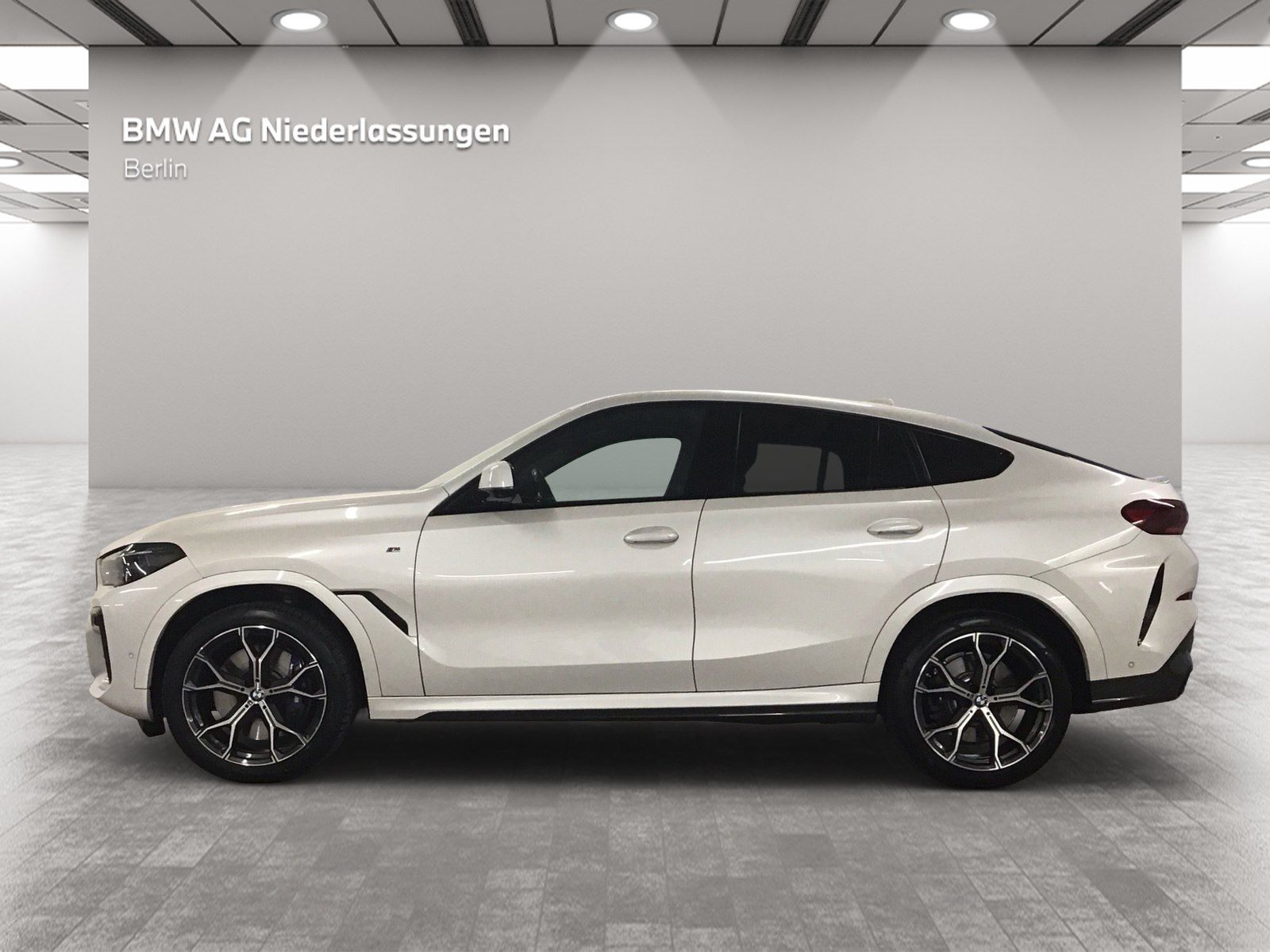 BMW X6 xDrive40d M Sport Driv.Assist.Prof Harman/K