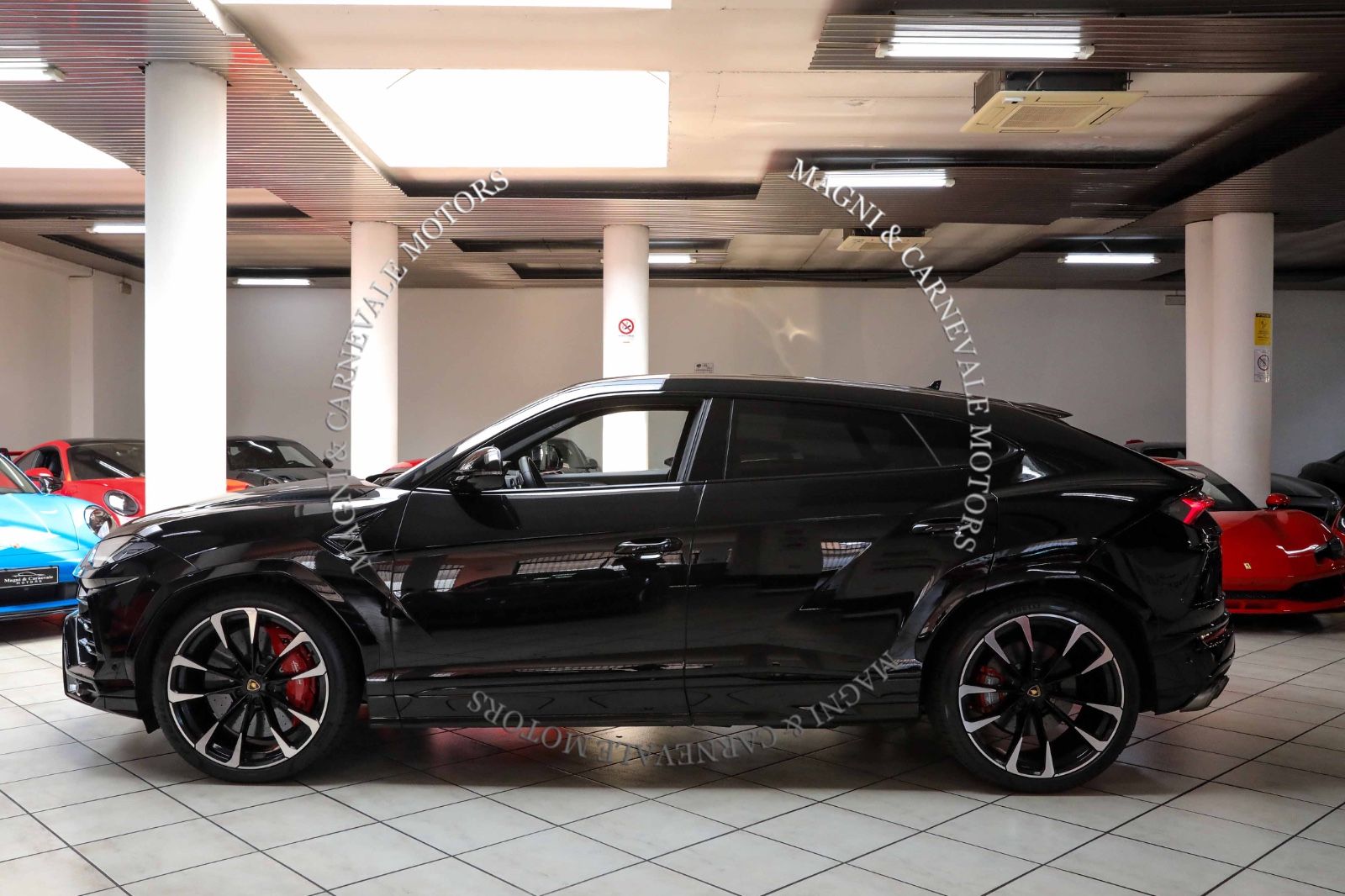 Lamborghini Urus - Samsaru's Car Outlet
