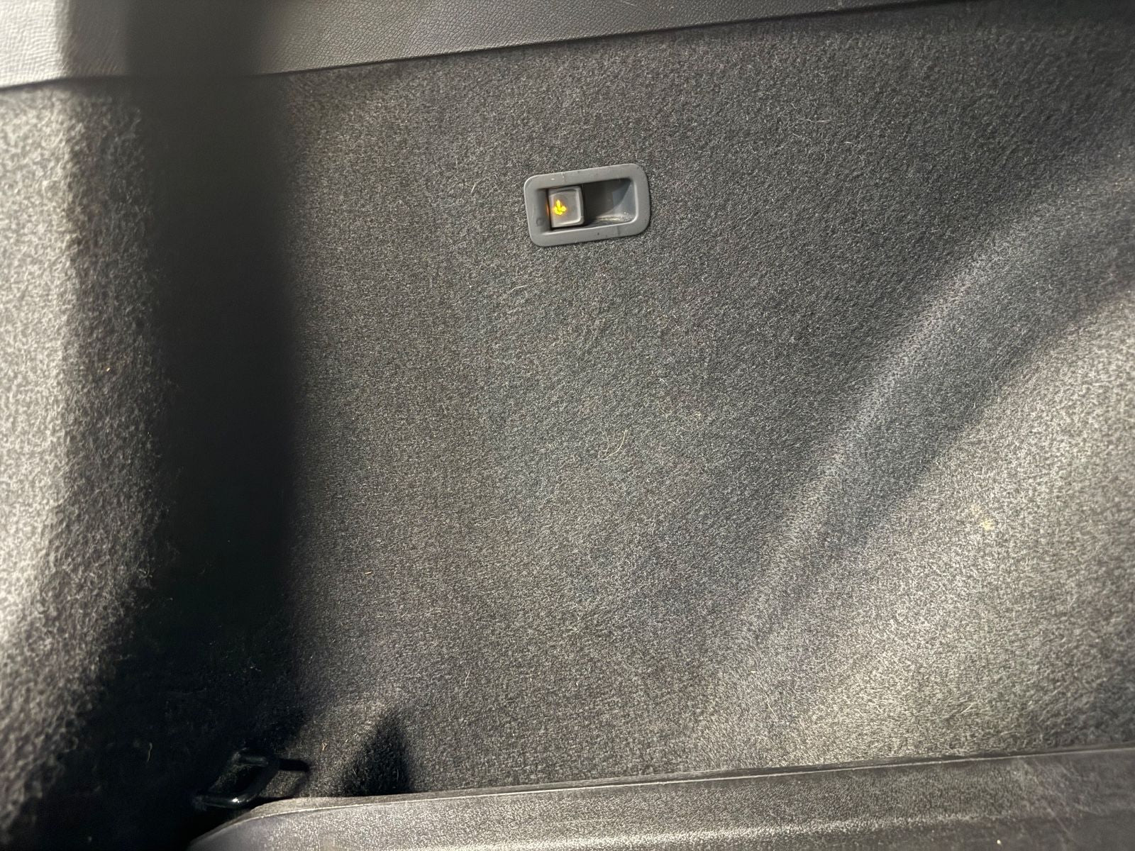 Cupra Formentor 2.0 TSI VZ AHK ACC Virtu 360° Pano LED