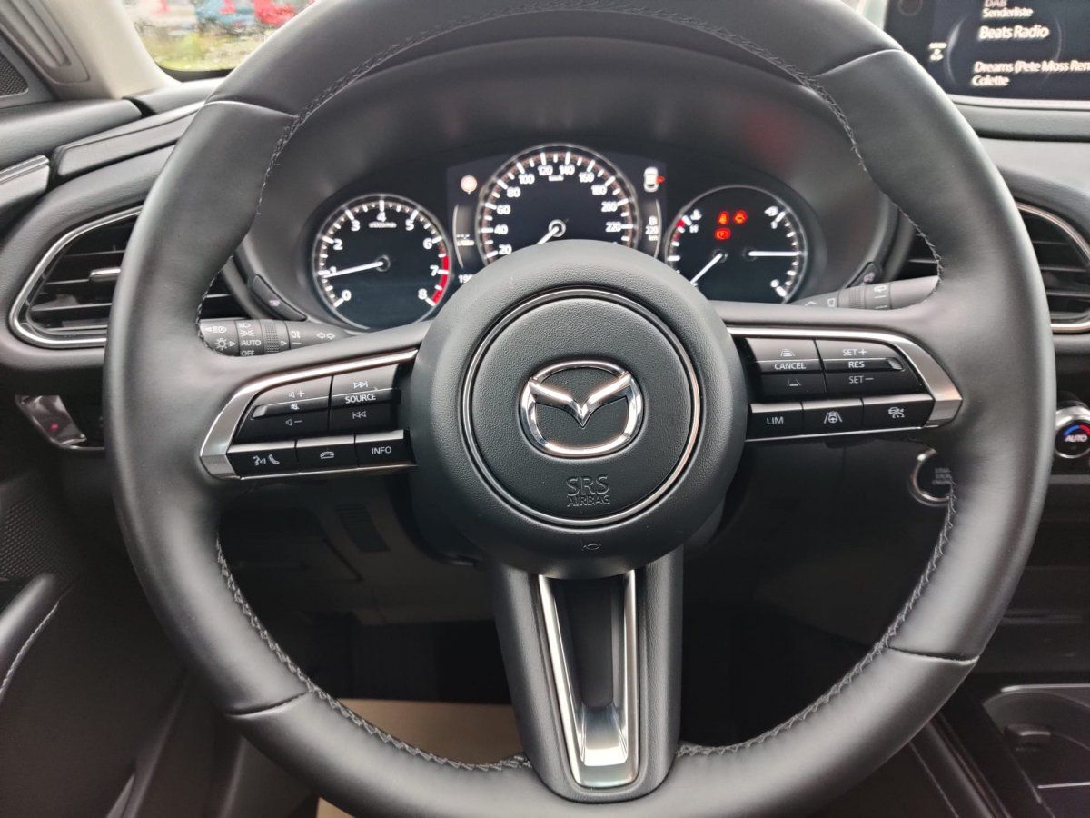 Mazda CX-30 Exclusive-Line, Garantie, Bose-Sound, 360°