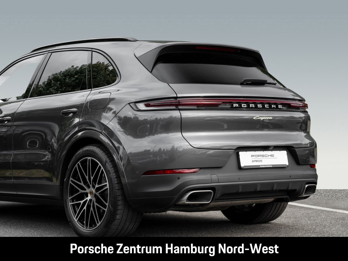 Porsche Cayenne E-Hybrid Panoramadach PASM BOSE ACC 360°