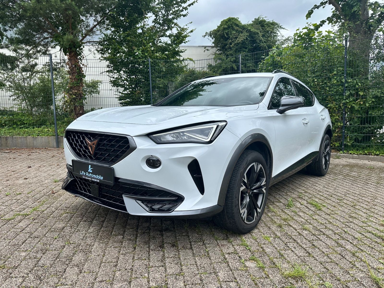 Cupra Formentor 2.0 TDI 4Drive - Samsaru's Car Outlet