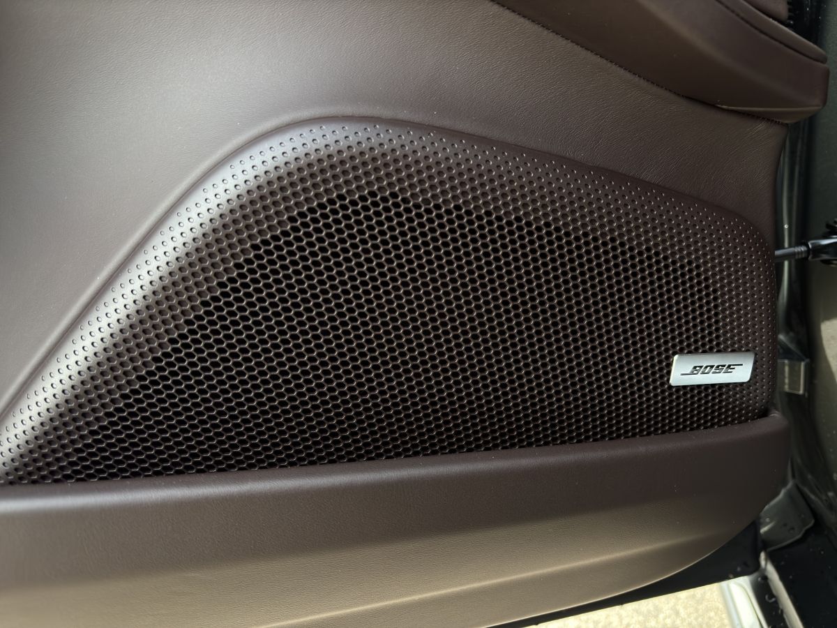 Porsche Panamera 4 E-Hybrid | Sportabgas | HA-Lenkung |