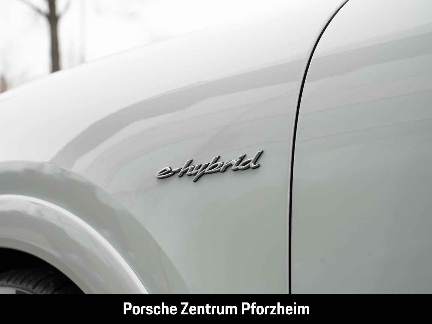 Porsche Cayenne EU6d E-Hybrid Surround-View LED InnoDriv