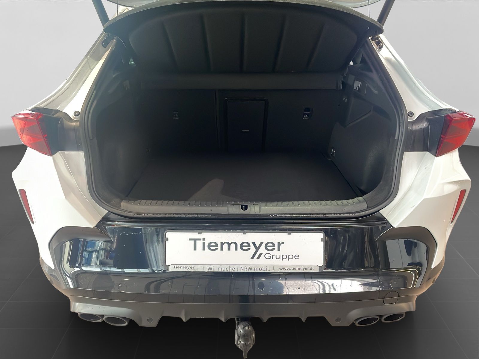 Cupra Formentor VZ 2.0 TSI LM19 PANO AHK MATRIX 360 SU