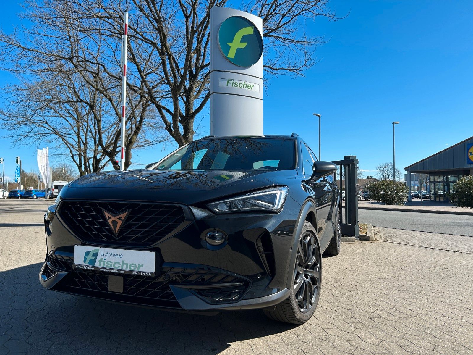 Cupra Formentor VZ Tribe Edition e-Hybrid AHK Memory