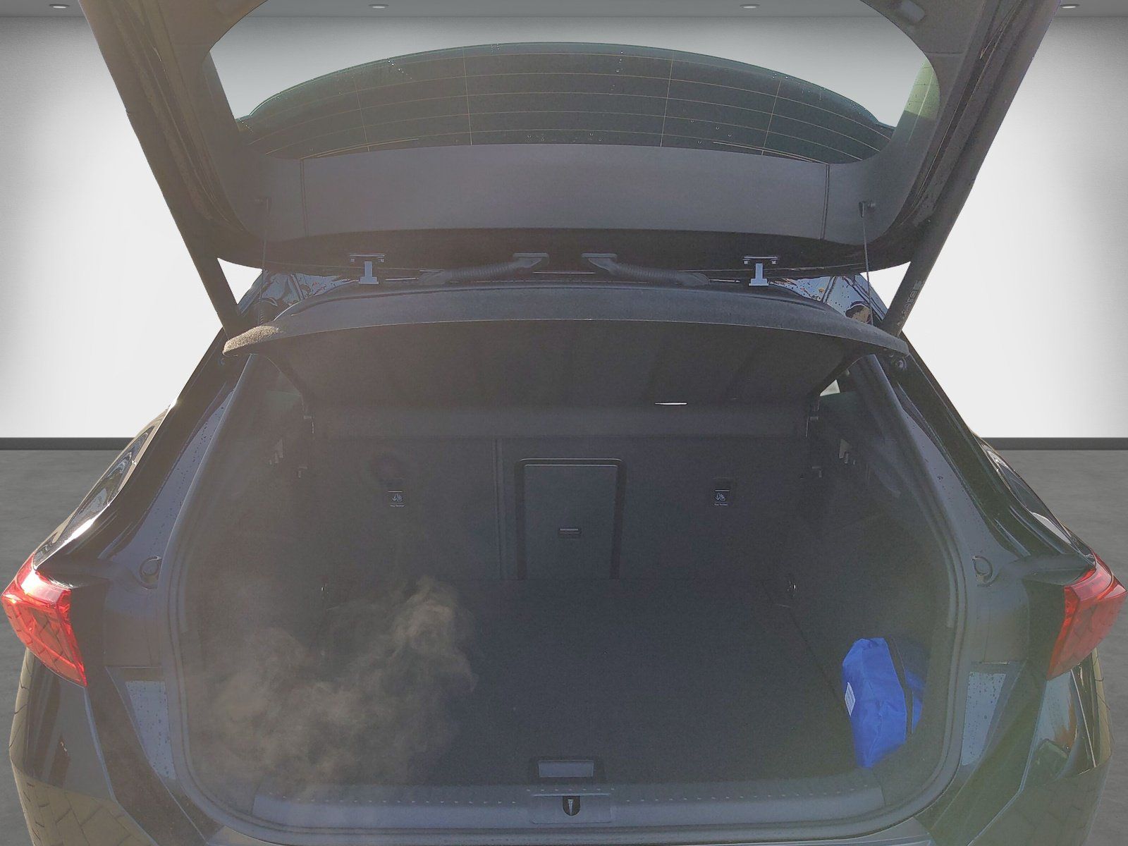 Cupra Formentor 2.0 TSI DSG Pano AHK Schalens. RearVie