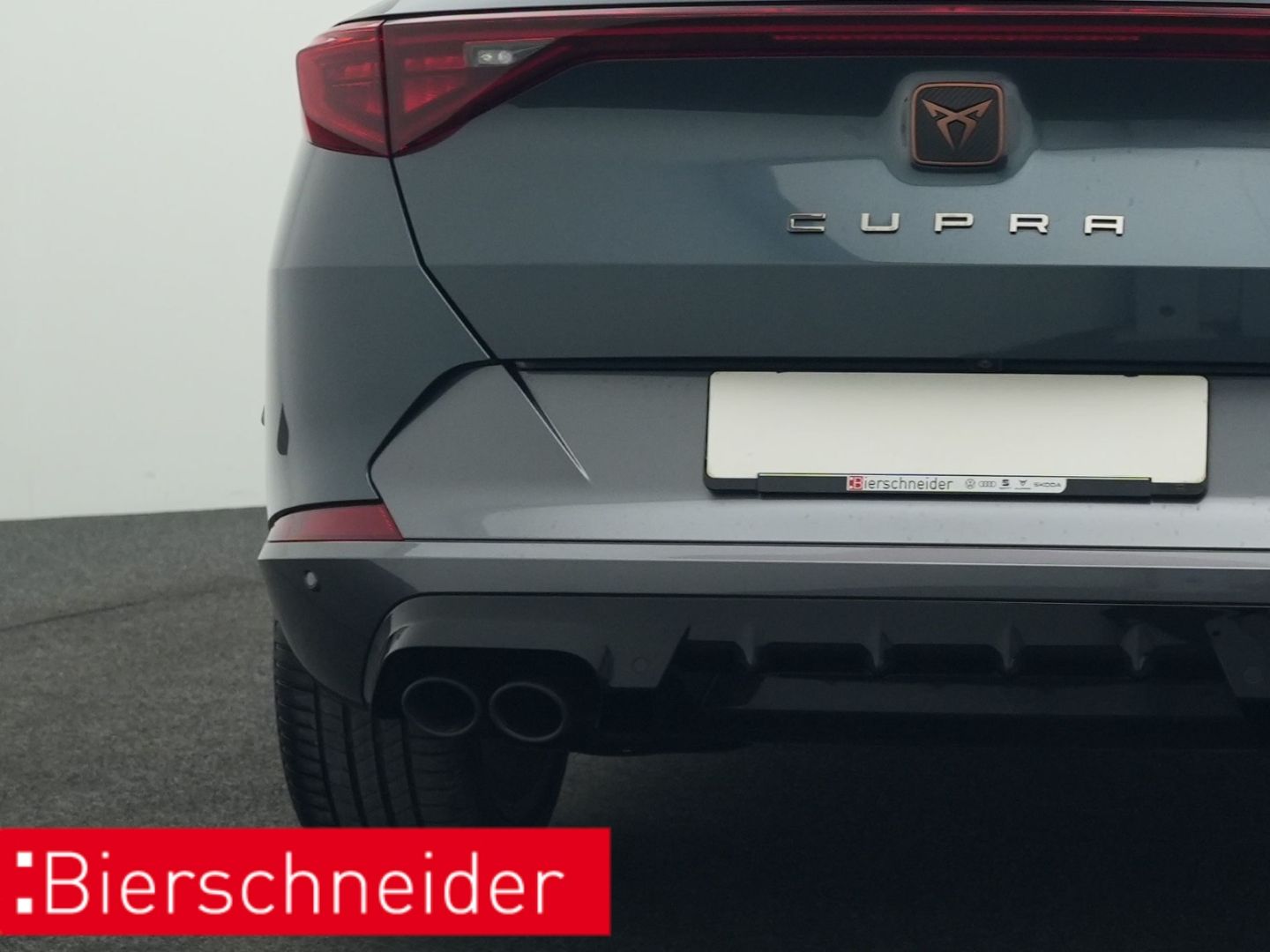 Cupra Formentor 2.0 TSI DSG 4Dr. VZ PANO AHK eHECK 360