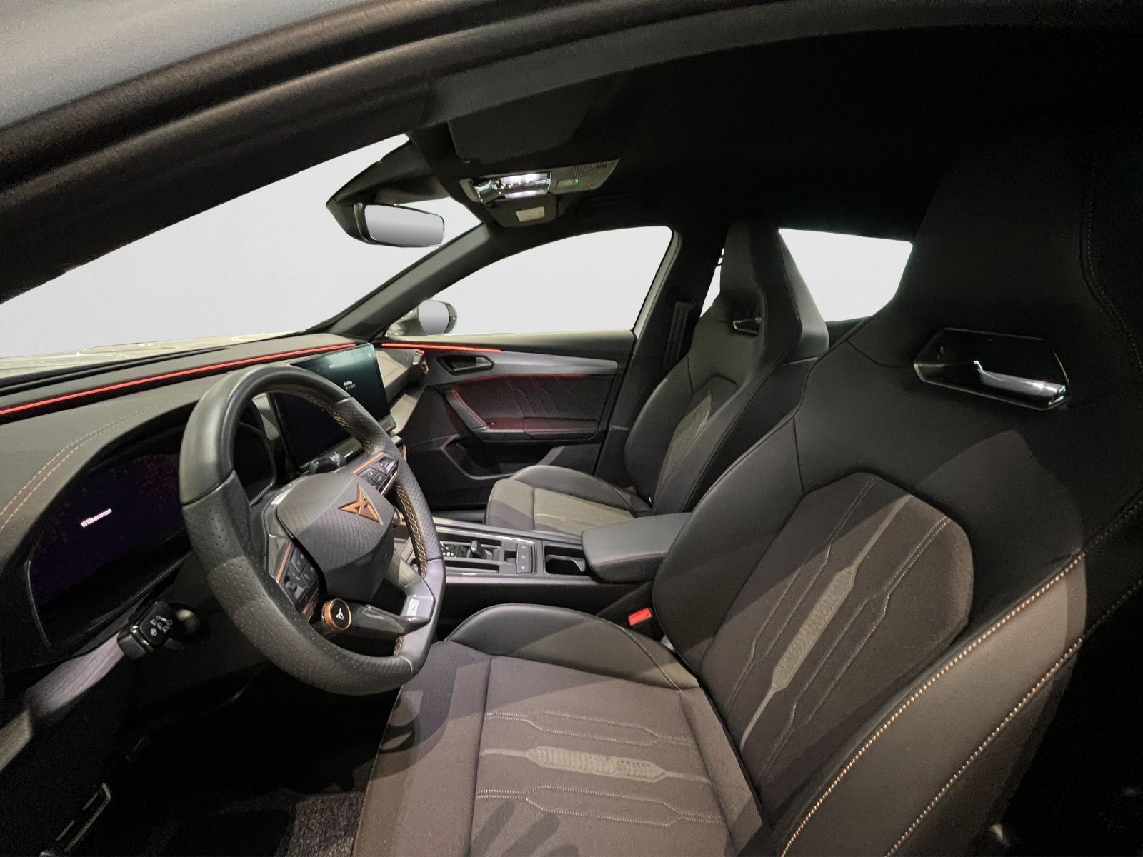 Cupra Formentor VZ 2.0 TSI 4Drive DSG AHK Rückfahrkame