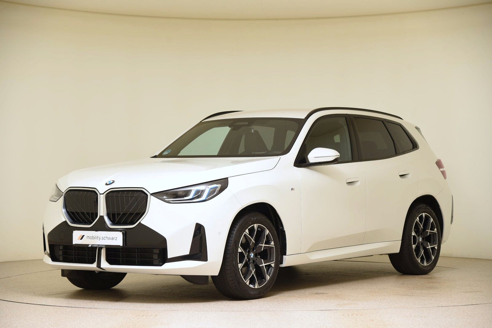 BMW X3 20d xDrive M Sport ACC LED AHK H&K DAB Alarm