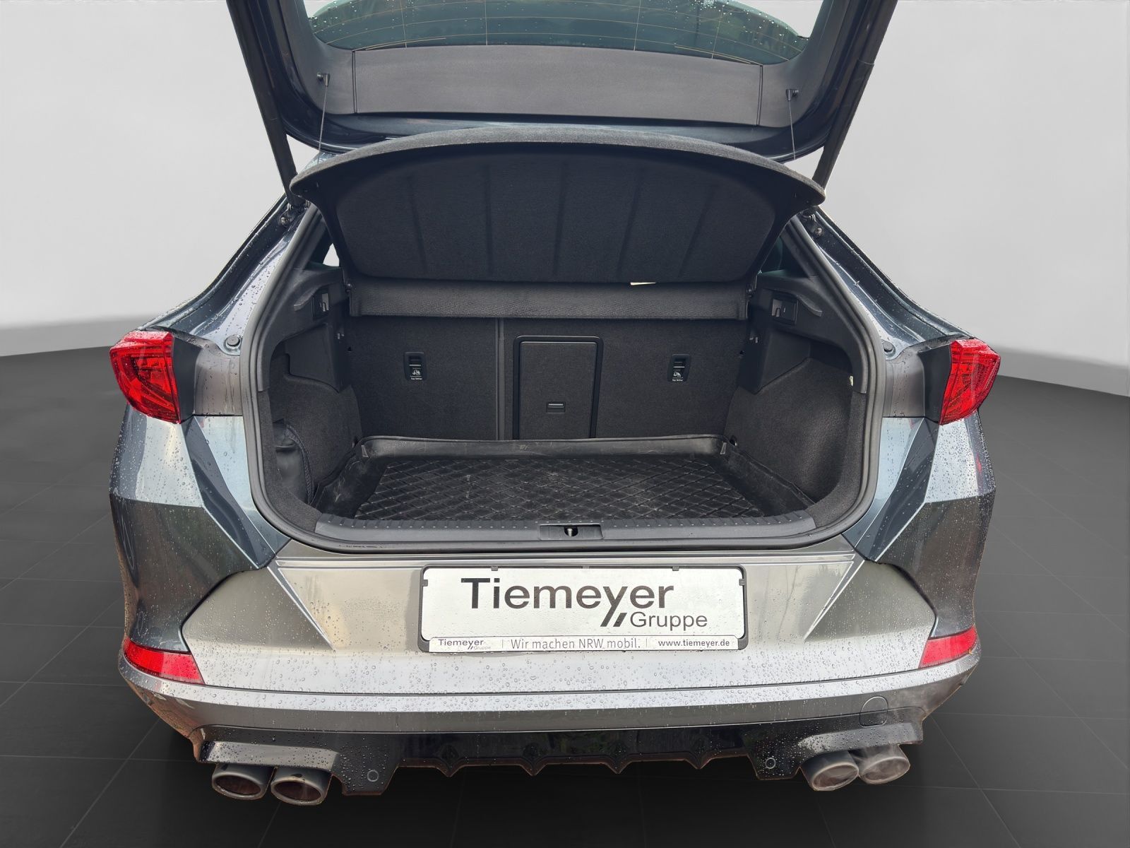 Cupra Formentor 2.0 TSI DSG 4D VZ KAMERA PANO AHK