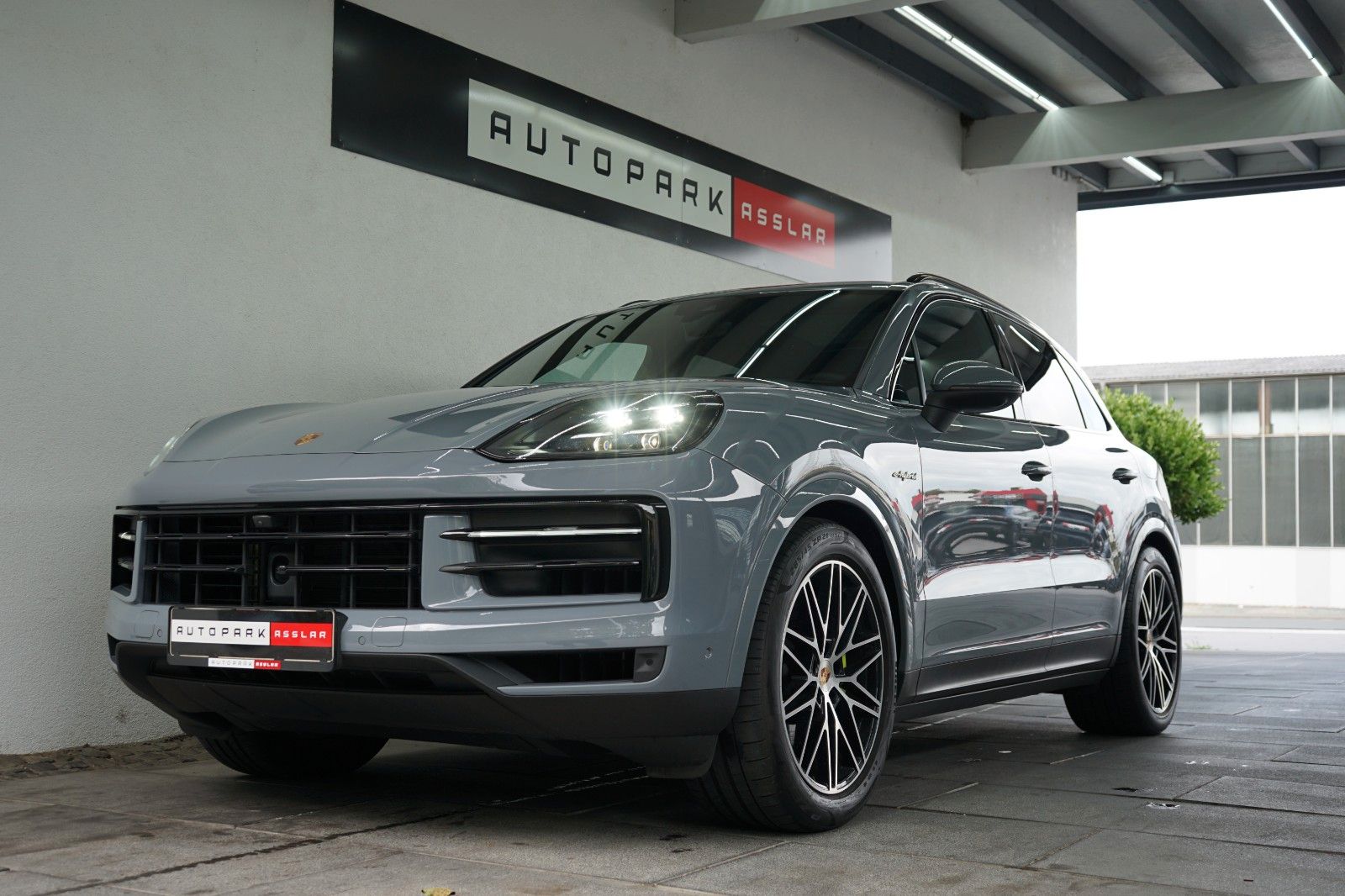 Porsche Cayenne E-Hybrid/P-Display/HAL/HD/14W/INNO/360°