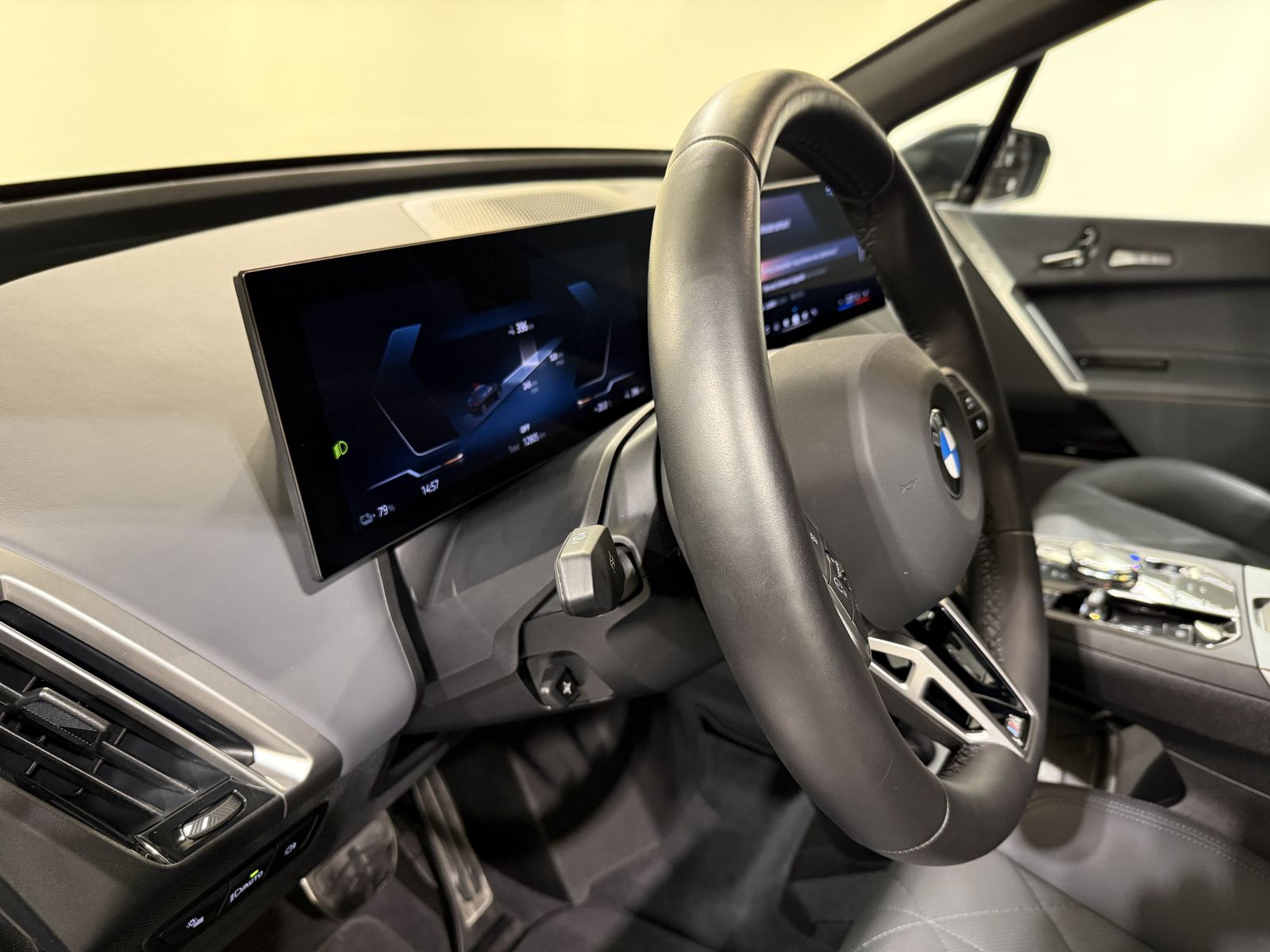 BMW iX xDrive60 M Sportpaket AHK Luftfeder B&W ACC
