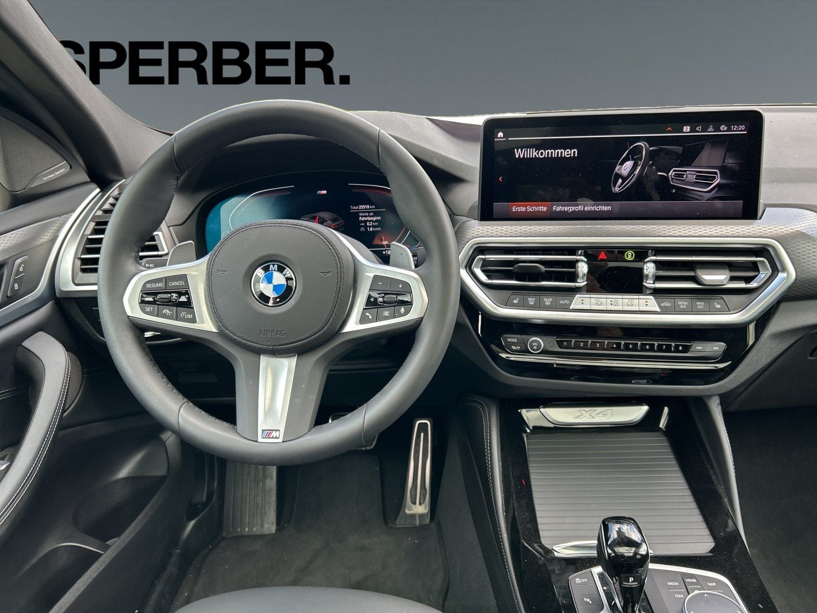 BMW X4 xDrive30d 494 € netto Leasing OHNE AZ*M Sport