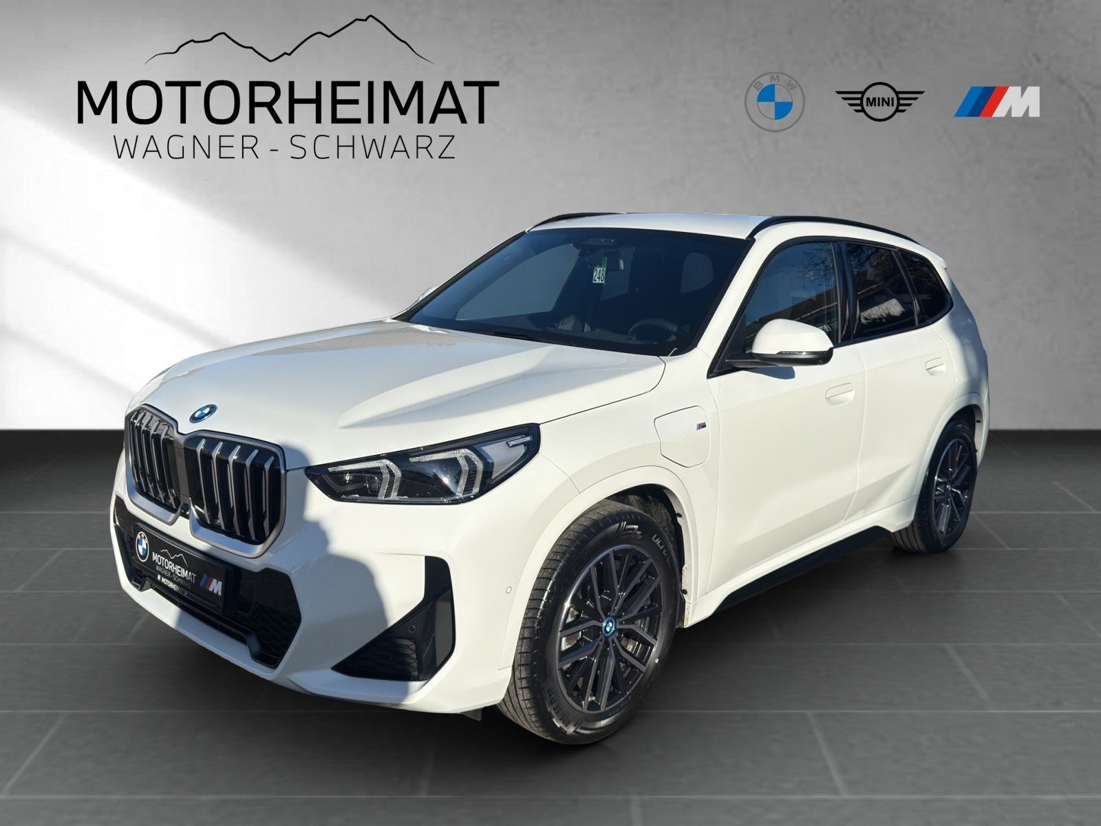 BMW X1 xDrive30e M Sport Aktivsitze el. DrivPro 360°