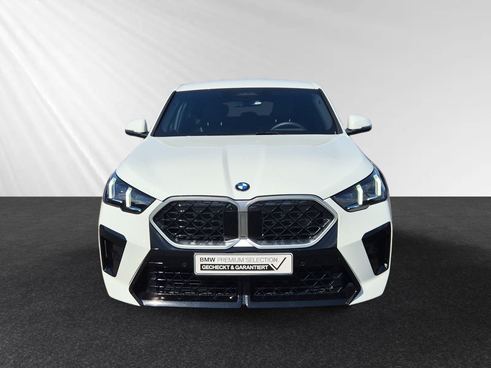 BMW X2 xDrive20d Inkl. € 1.190 Zubehörbonus*M Sport|