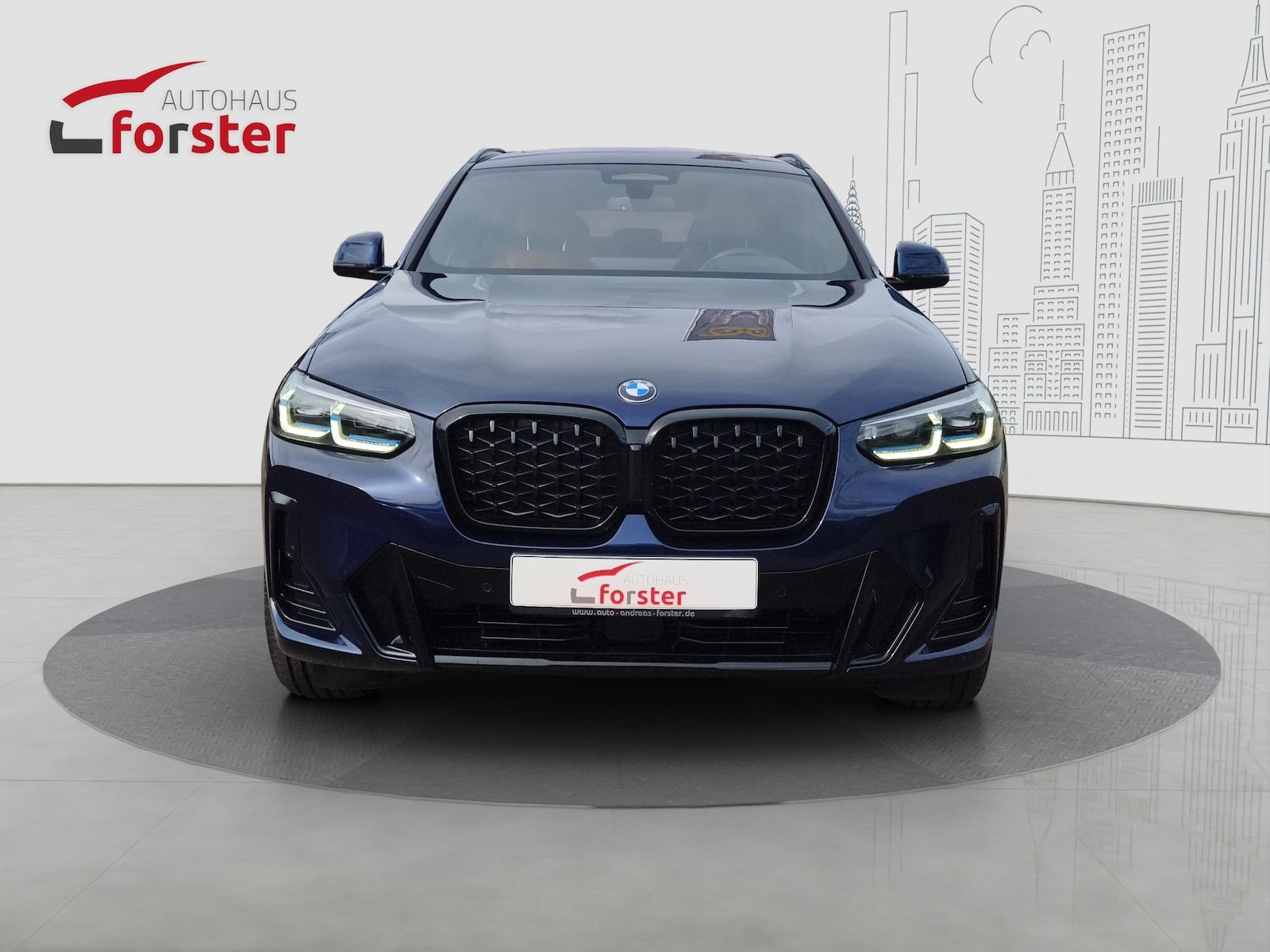 BMW X4 xDrive 30d M Sport AHK HUD Laserl. ACC Winter