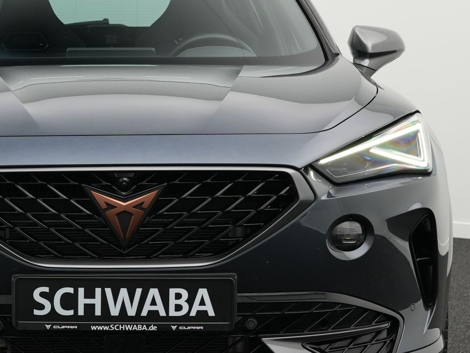 Cupra Formentor VZ 2.0 TSI 4Drive DSG *ACC*AHK*PANO*19